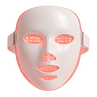 $400 Celebrity Masks